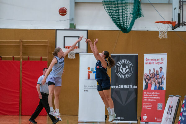 20250920-chemcats-chemnitz-vs-eintracht-braunschweig-lionpride-102