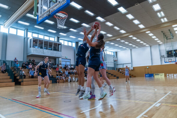 20250920-chemcats-chemnitz-vs-eintracht-braunschweig-lionpride-138