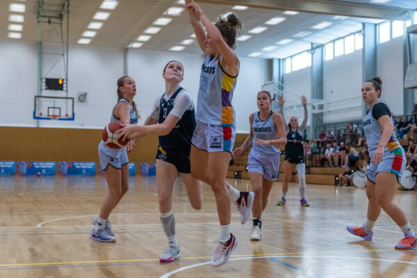 20250920-chemcats-chemnitz-vs-eintracht-braunschweig-lionpride-152