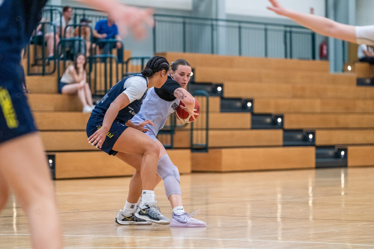 20250920-chemcats-chemnitz-vs-eintracht-braunschweig-lionpride-230