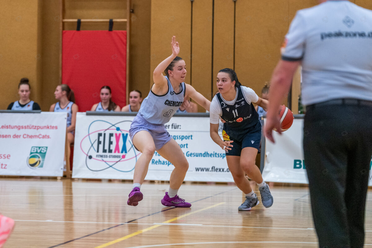 20250920-chemcats-chemnitz-vs-eintracht-braunschweig-lionpride-295