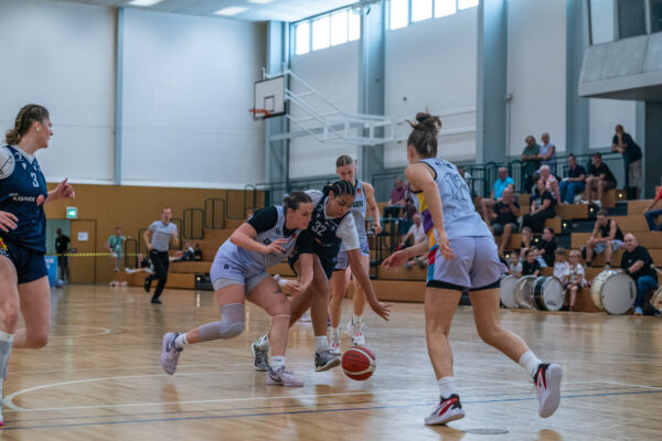 20250920-chemcats-chemnitz-vs-eintracht-braunschweig-lionpride-60