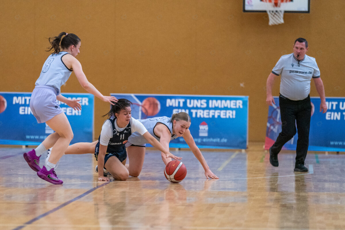 20250920-chemcats-chemnitz-vs-eintracht-braunschweig-lionpride-73